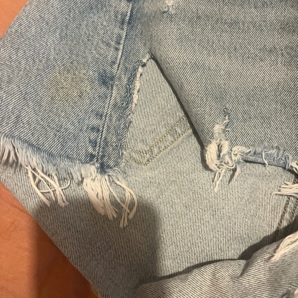 Agolde Parker Denim Jean Shorts